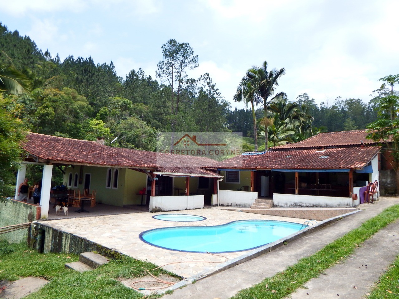 Sítio, 3 hectares - Foto 10