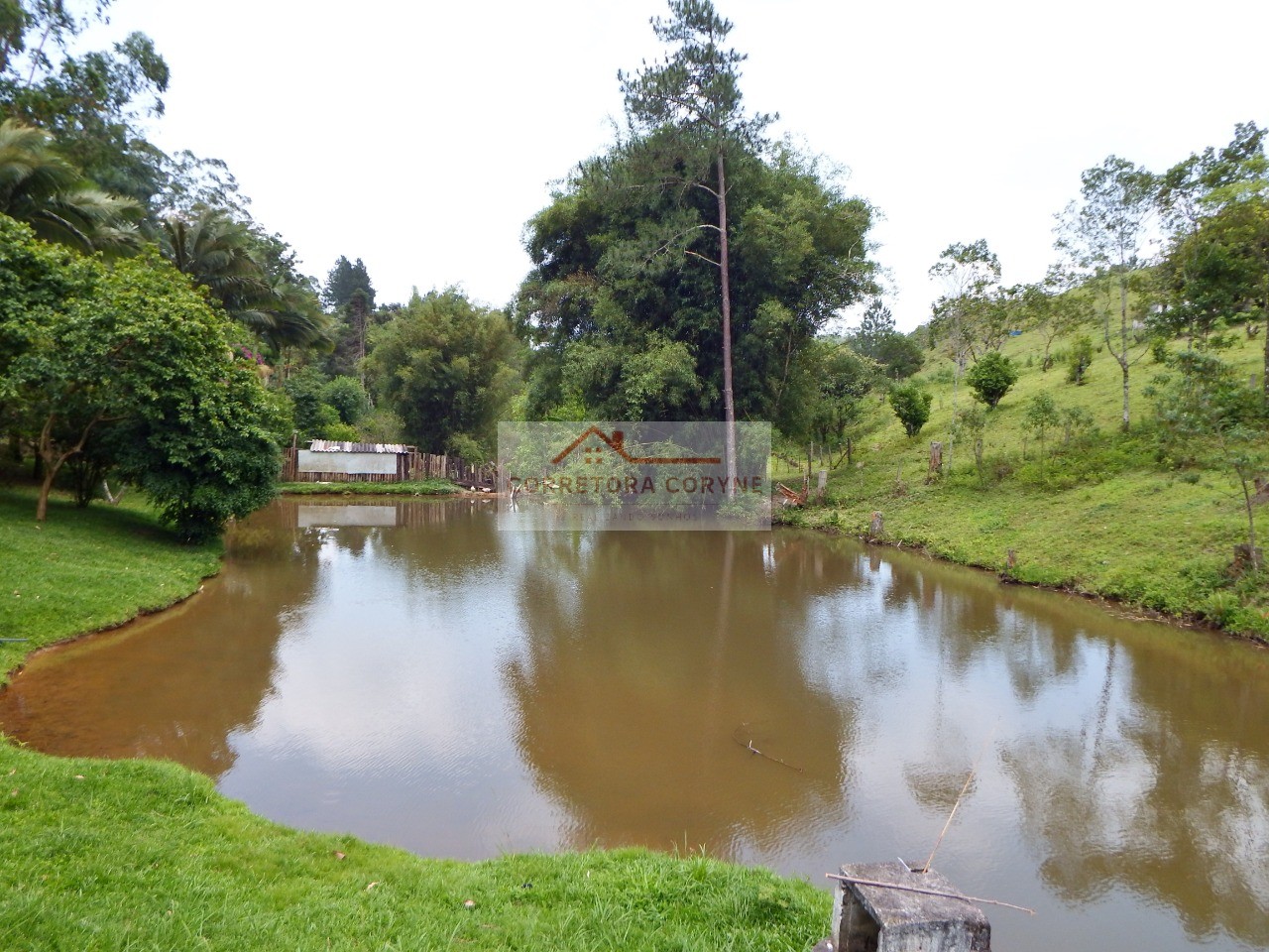 Sítio, 3 hectares - Foto 1