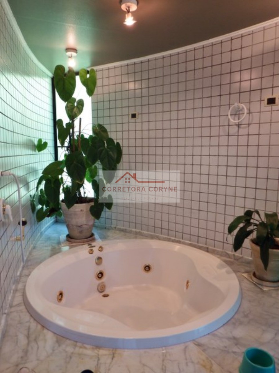 Sítio, 4 quartos, 12 hectares - Foto 8