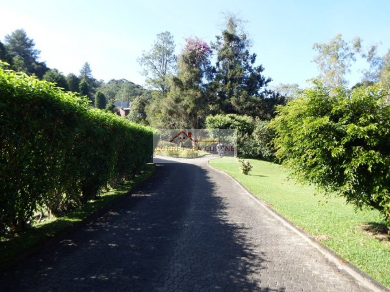 Sítio, 4 quartos, 12 hectares - Foto 25