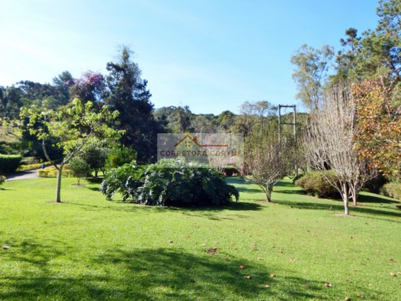 Sítio, 4 quartos, 12 hectares - Foto 26