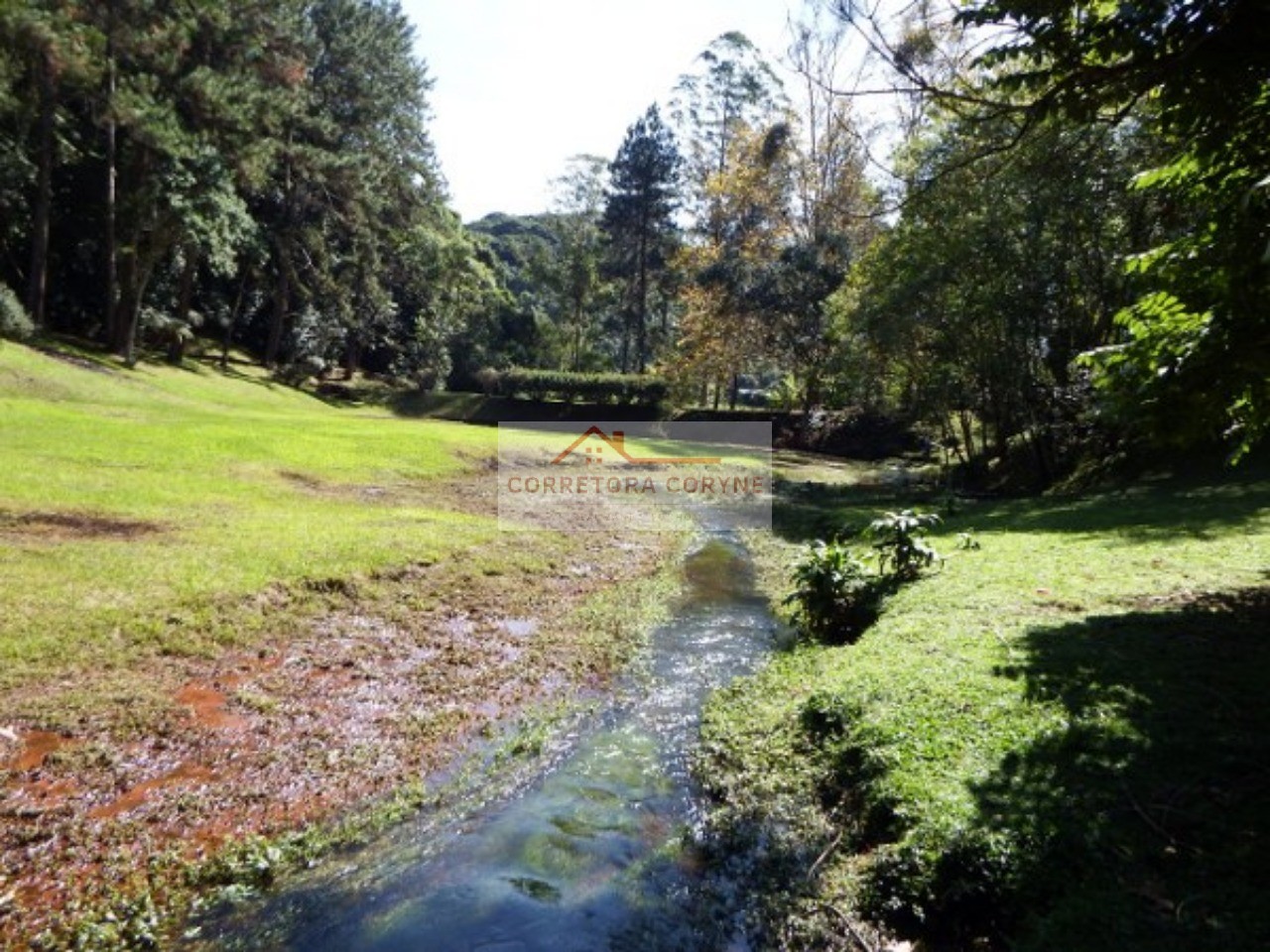 Sítio, 4 quartos, 12 hectares - Foto 29