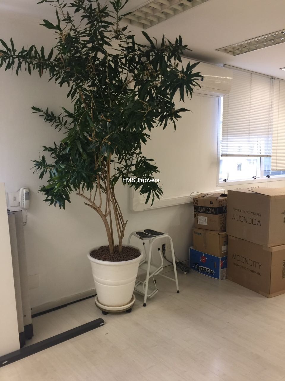 Sala-Conjunto, 205 m² - Foto 5