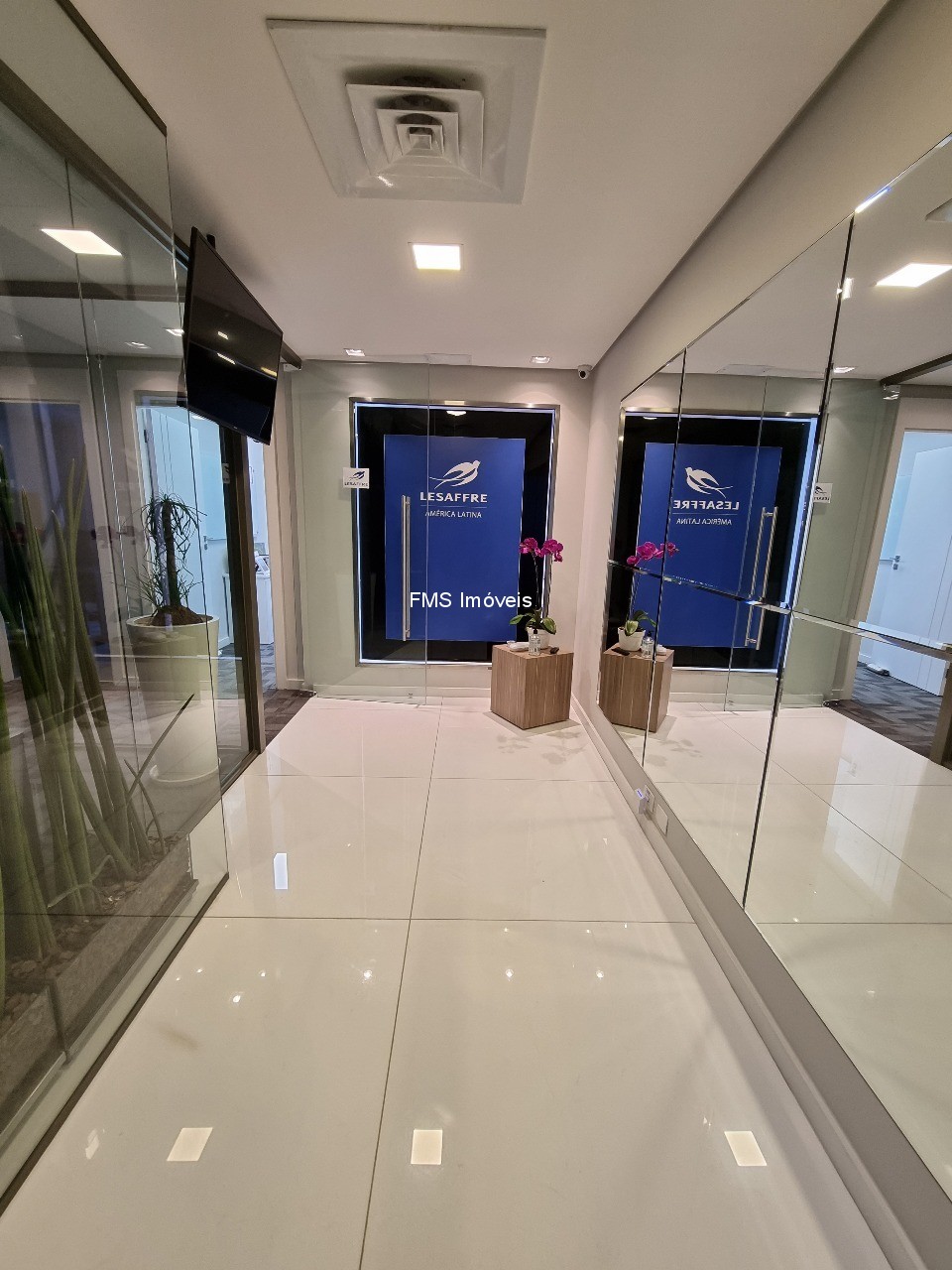 Sala-Conjunto, 250 m² - Foto 15