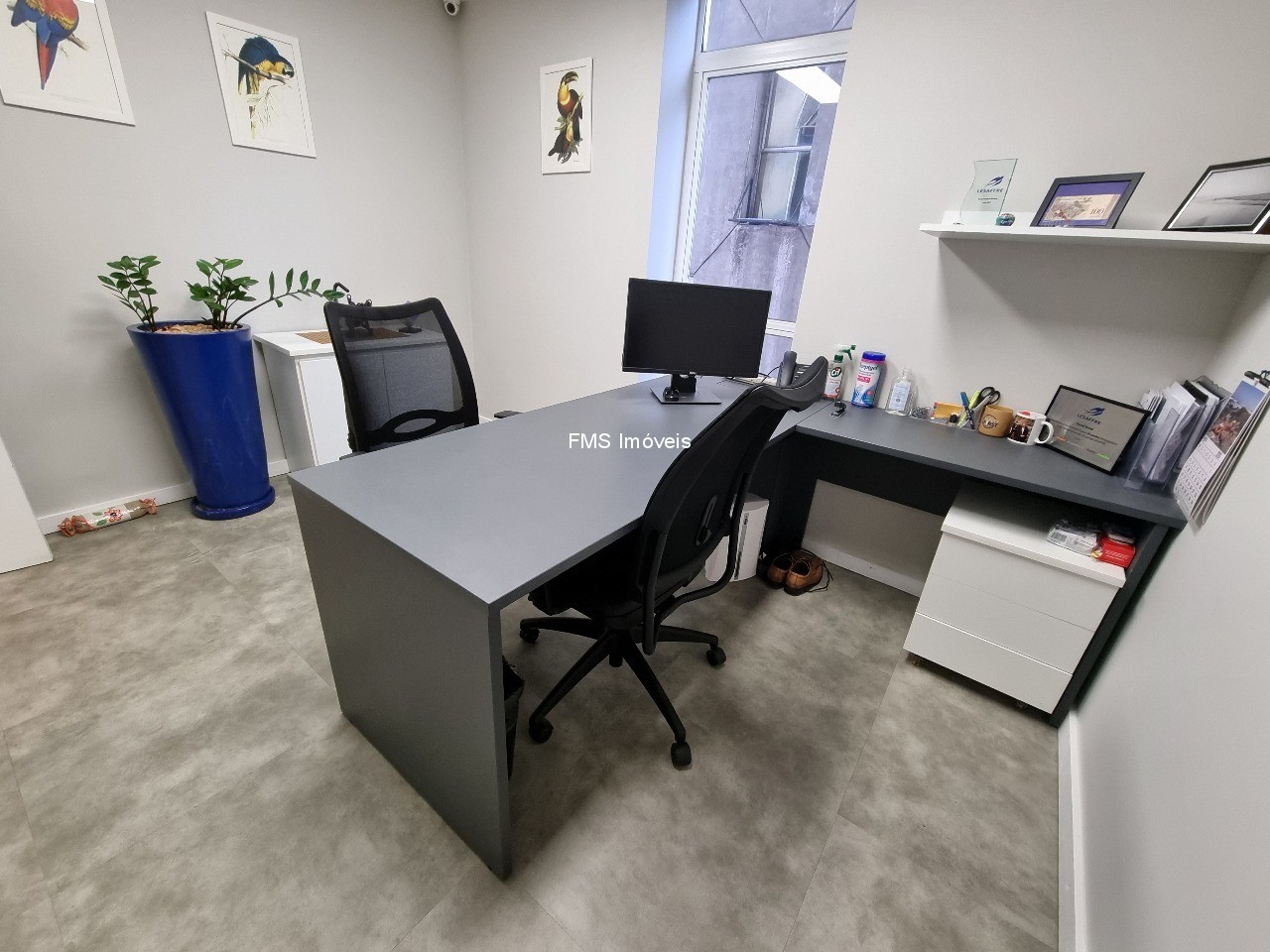 Sala-Conjunto, 250 m² - Foto 6