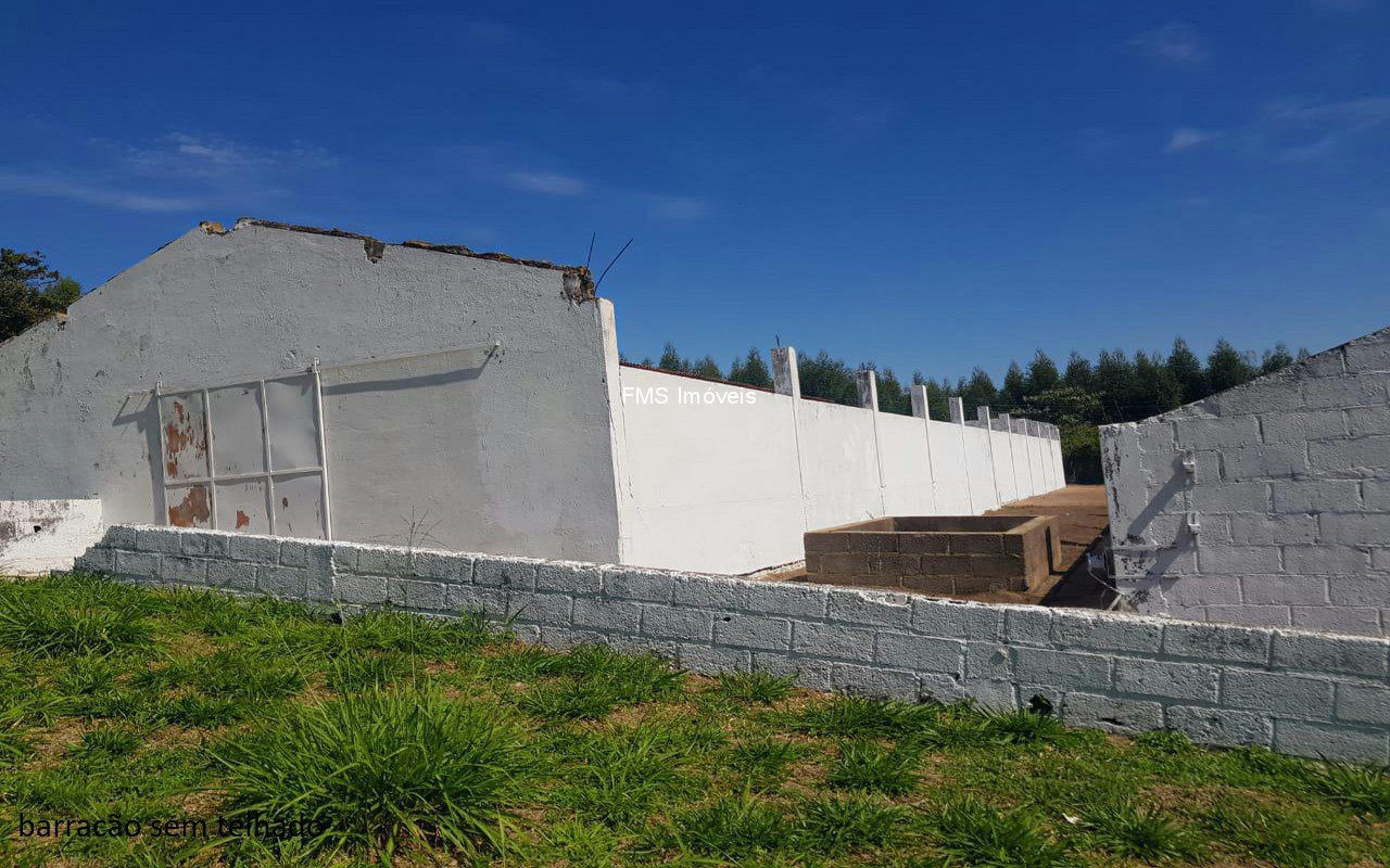 Sítio, 4 quartos, 3150 m² - Foto 23