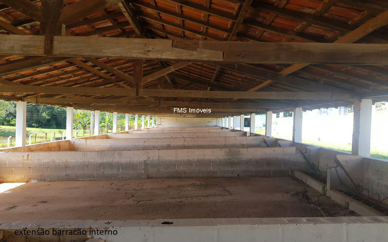 Sítio, 4 quartos, 3150 m² - Foto 45