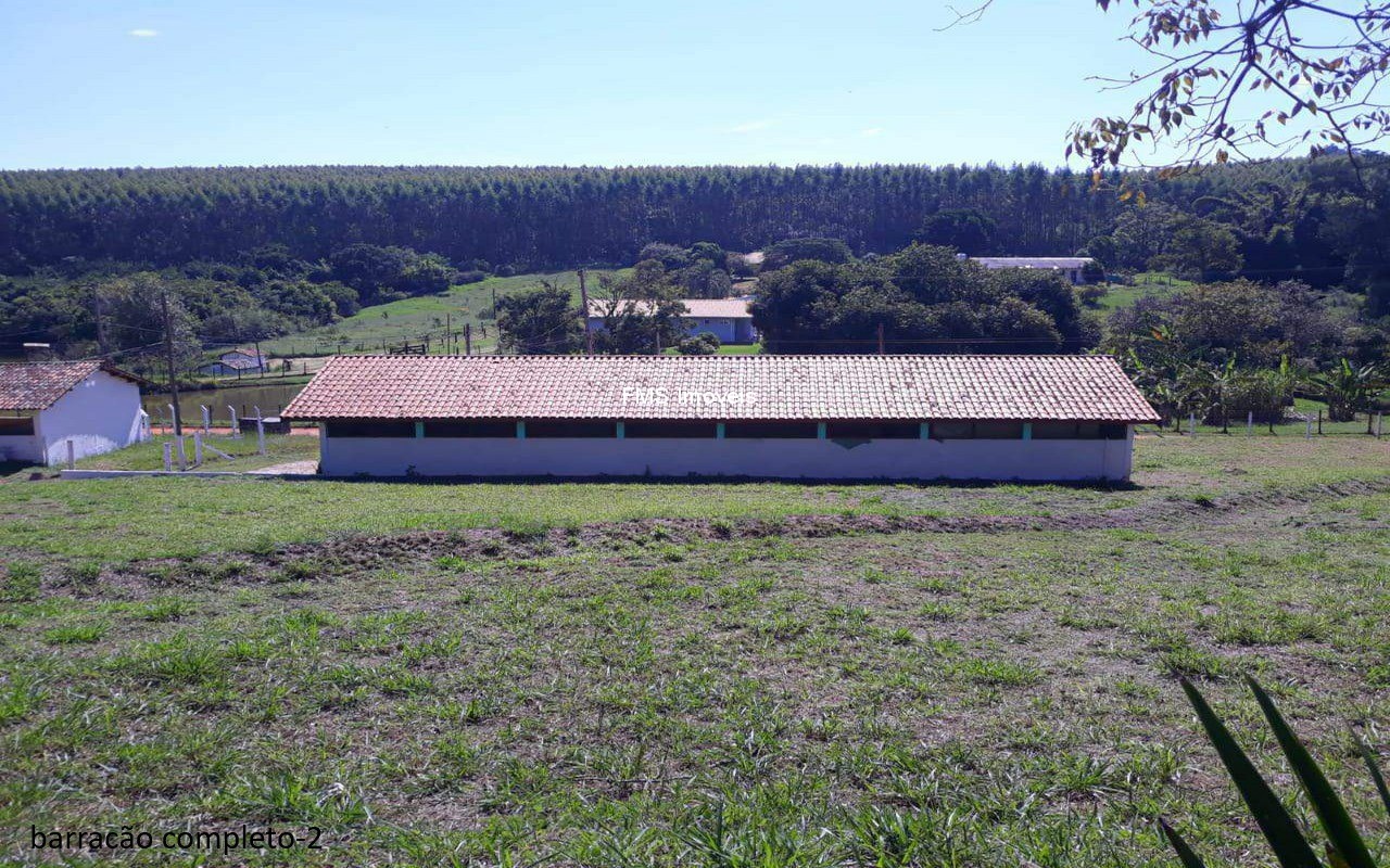 Sítio, 4 quartos, 3150 m² - Foto 13