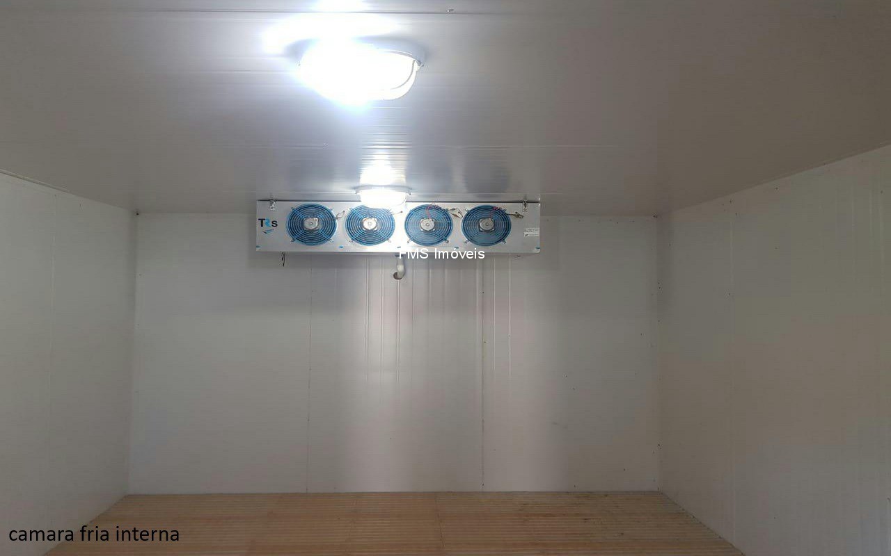 Sítio, 4 quartos, 3150 m² - Foto 30