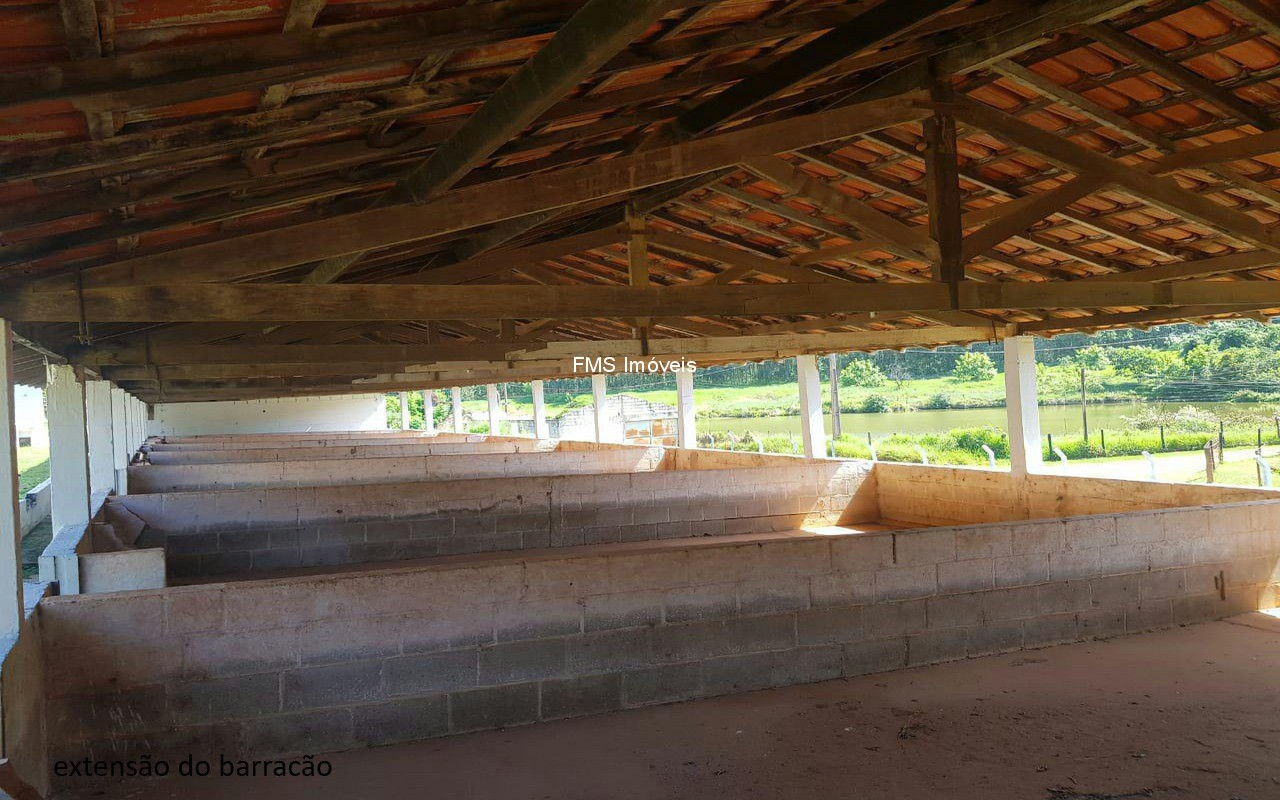 Sítio, 4 quartos, 3150 m² - Foto 47