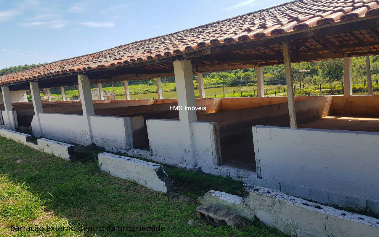 Sítio, 4 quartos, 3150 m² - Foto 20