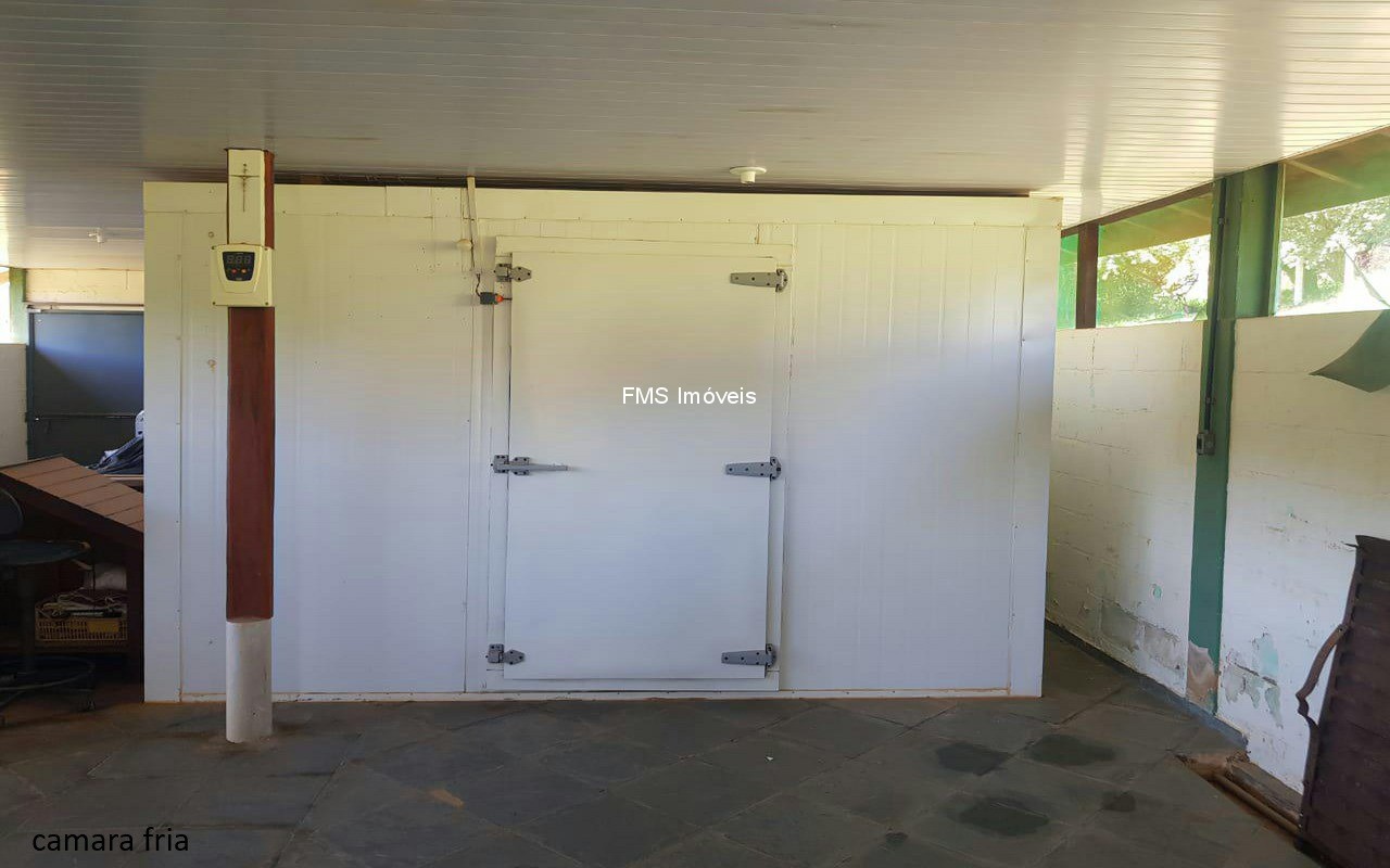 Sítio, 4 quartos, 3150 m² - Foto 36