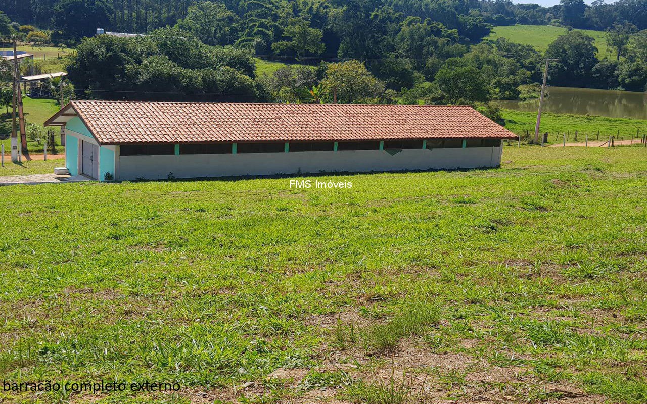 Sítio, 4 quartos, 3150 m² - Foto 14