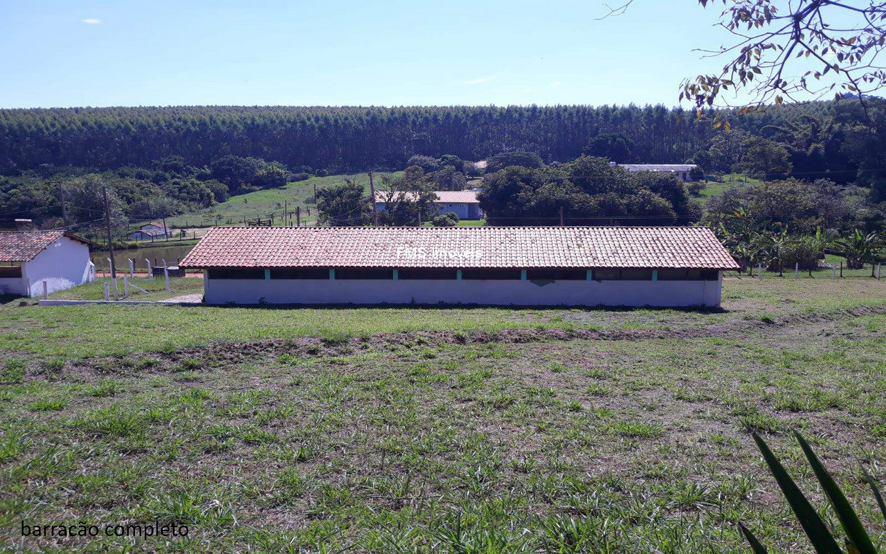 Sítio, 4 quartos, 3150 m² - Foto 18