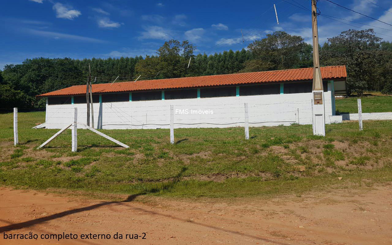 Sítio, 4 quartos, 3150 m² - Foto 12