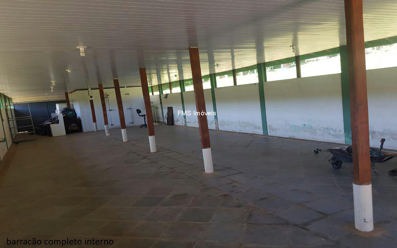 Sítio, 4 quartos, 3150 m² - Foto 15