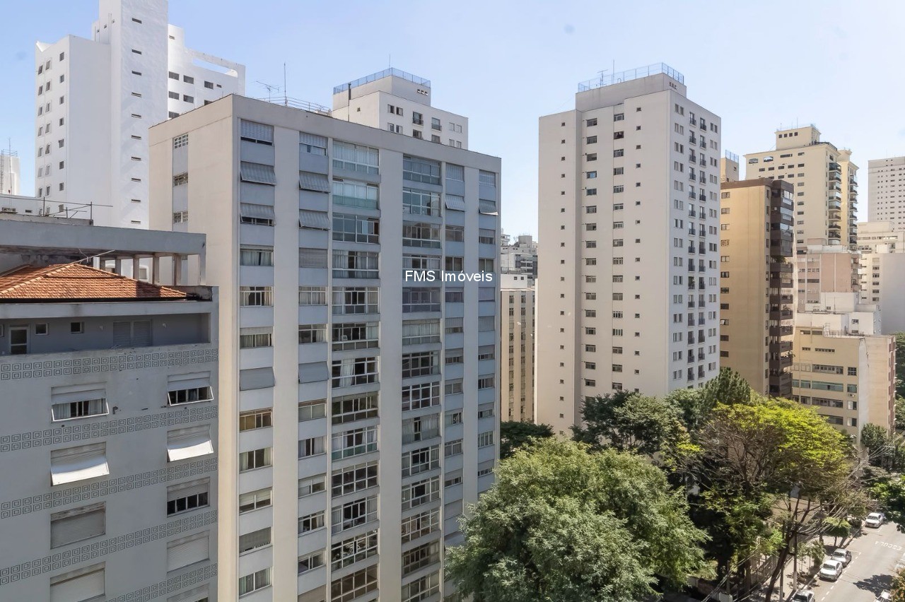Apartamento, 3 quartos, 250 m² - Foto 50