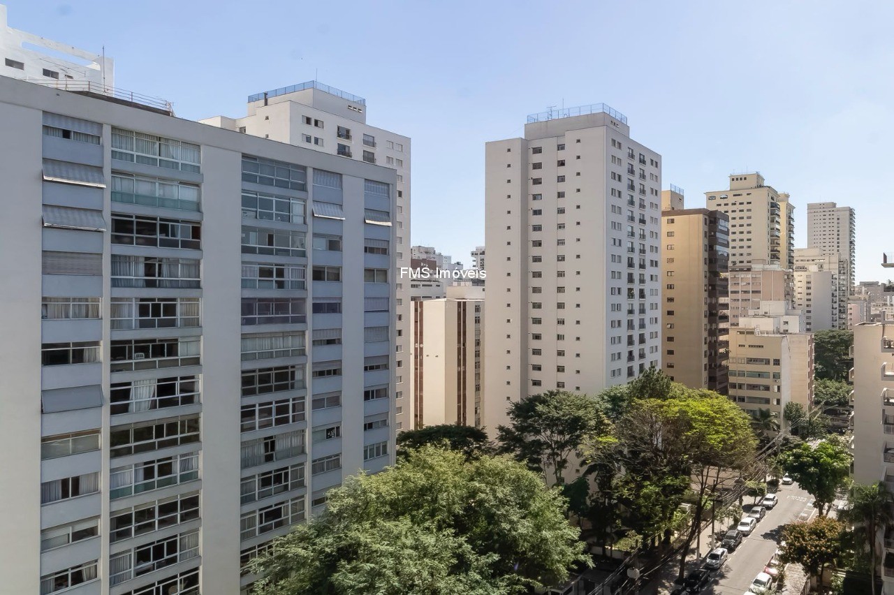 Apartamento, 3 quartos, 250 m² - Foto 48