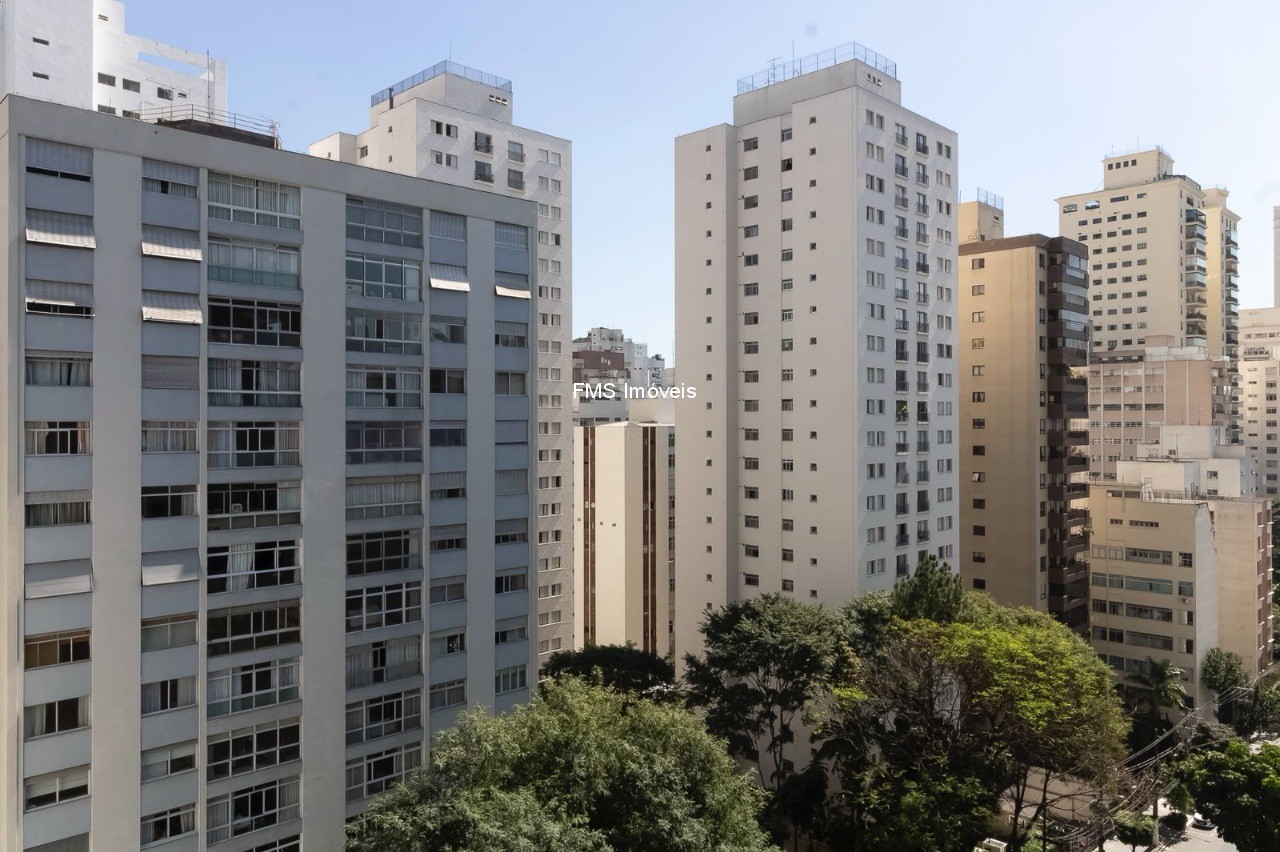 Apartamento, 3 quartos, 250 m² - Foto 47