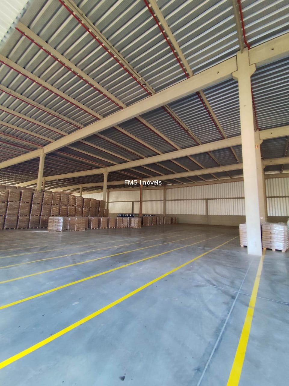 Depósito-Galpão, 9742 m² - Foto 8