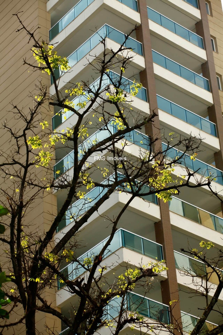 Apartamento, 3 quartos, 226 m² - Foto 10