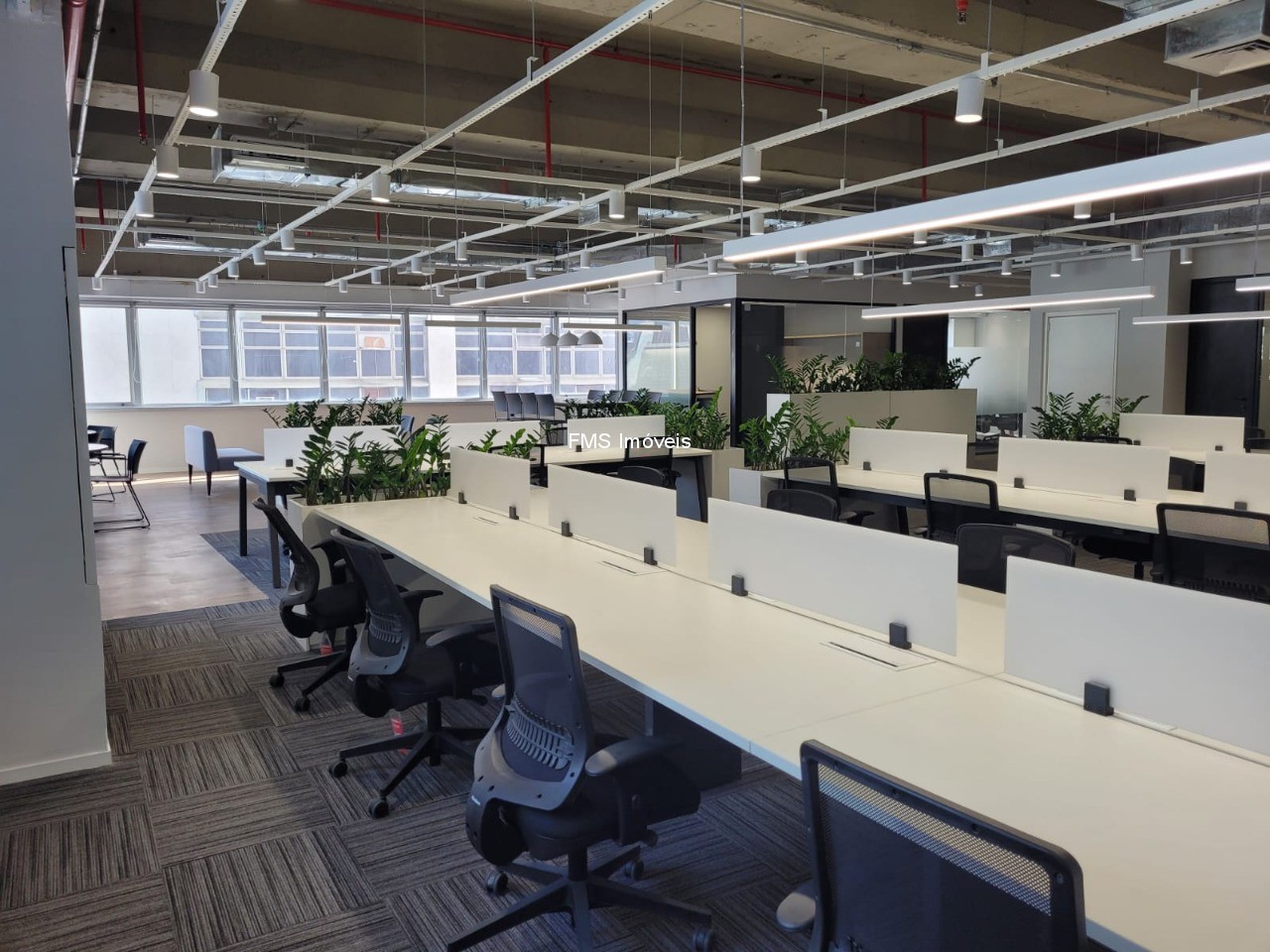 Sala-Conjunto, 352 m² - Foto 3