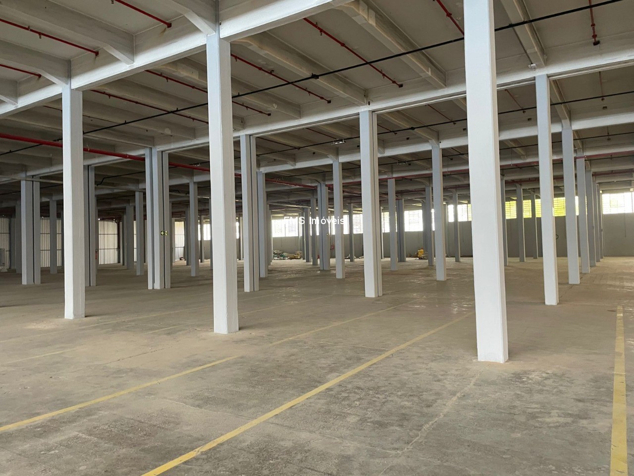 Depósito-Galpão, 10069 m² - Foto 4