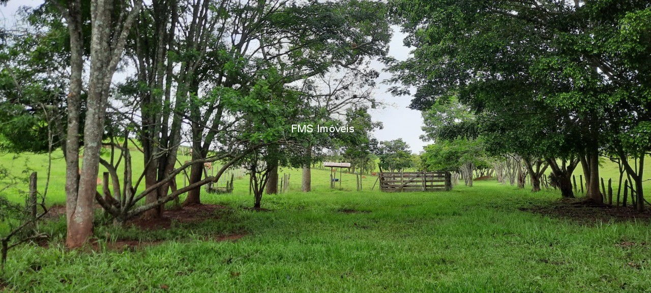 Chácara, 1 quarto - Foto 25