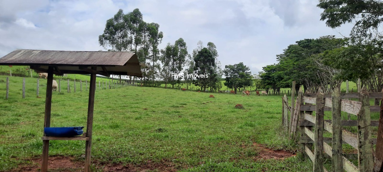 Chácara, 1 quarto - Foto 26