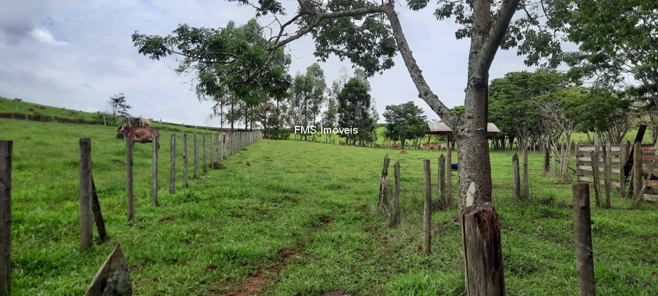 Chácara, 1 quarto - Foto 15