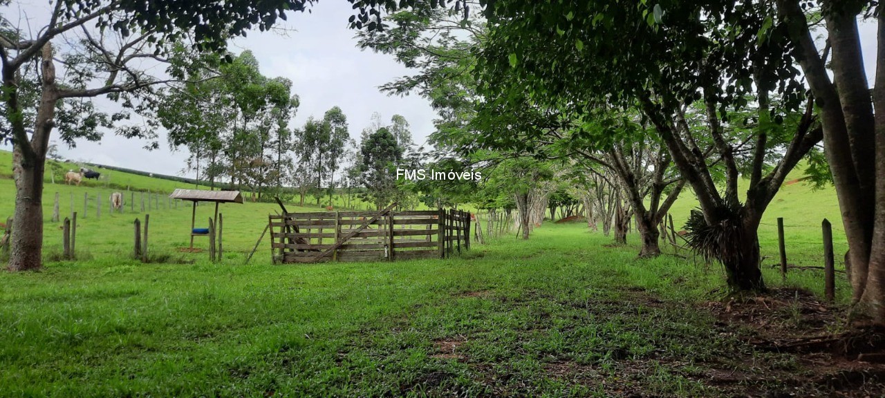 Chácara, 1 quarto - Foto 19