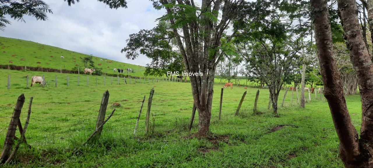 Chácara, 1 quarto - Foto 29