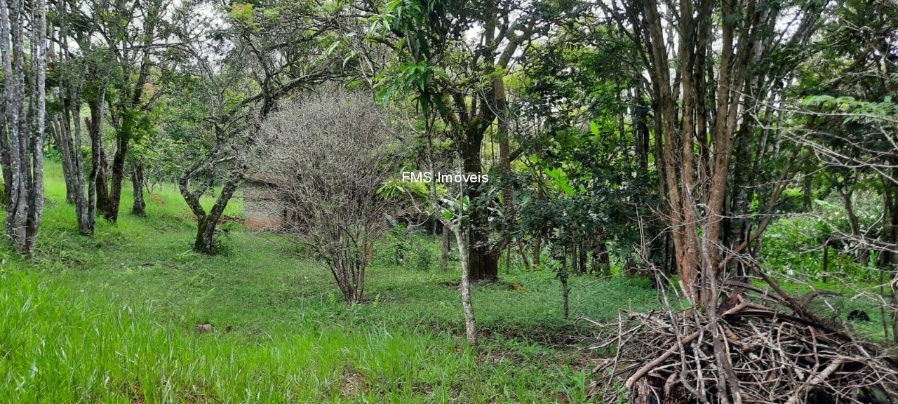 Chácara, 1 quarto - Foto 11