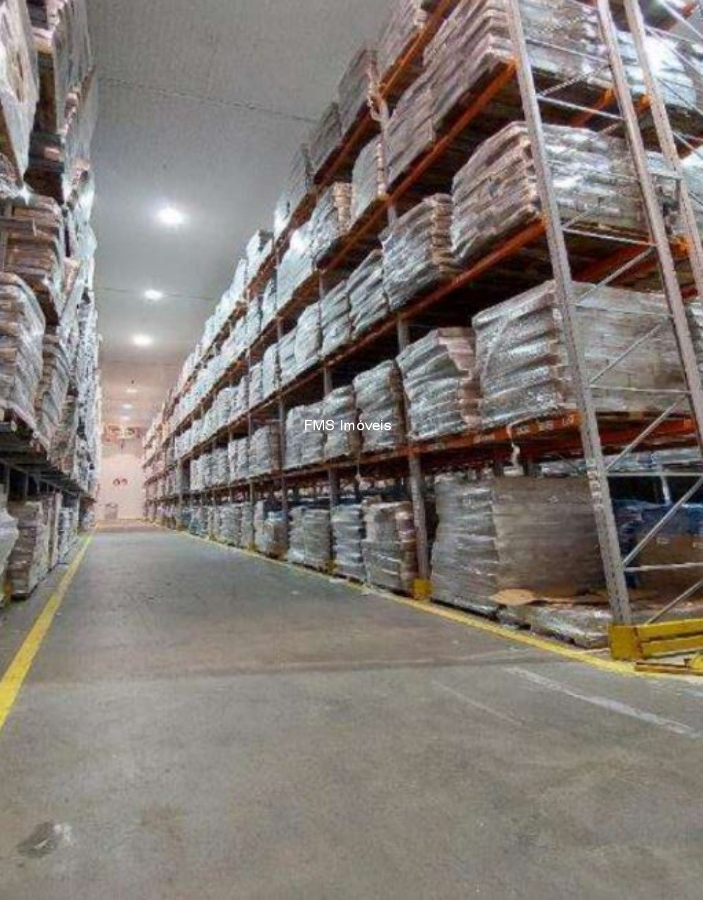 Depósito-Galpão, 3250 m² - Foto 6
