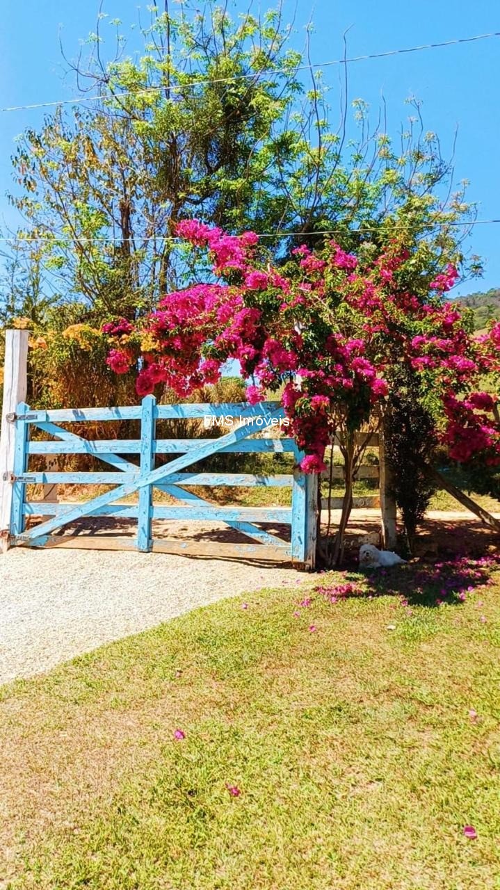 Chácara, 4 quartos - Foto 3