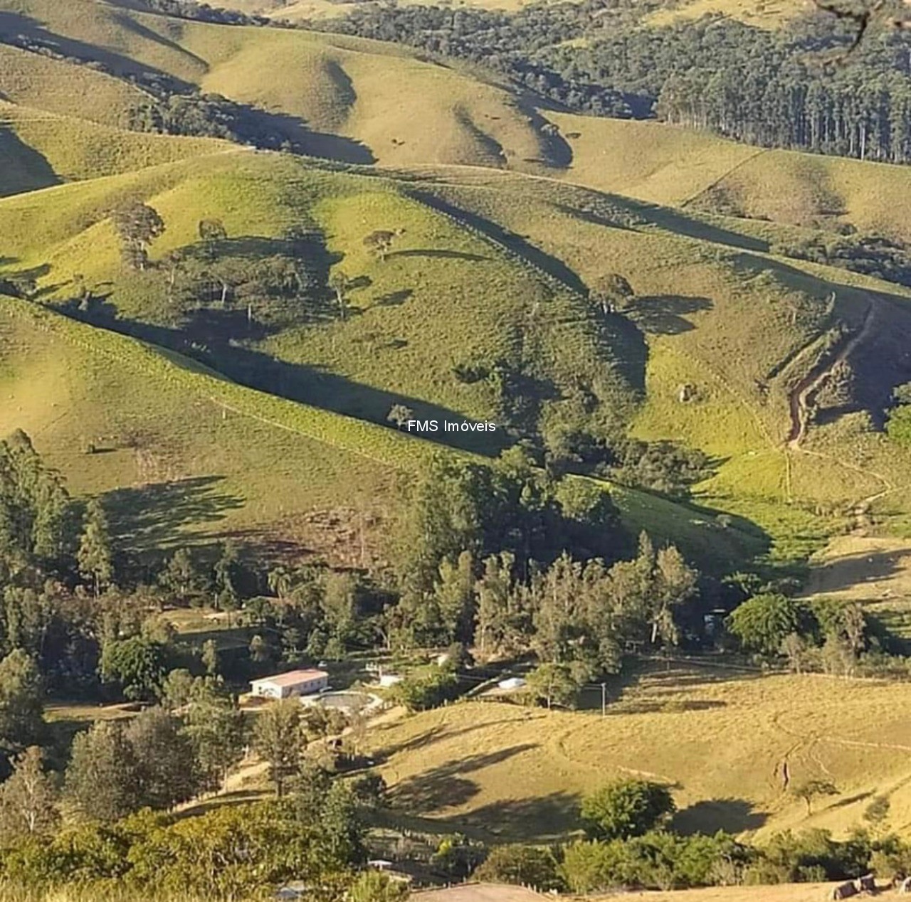 Chácara, 4 quartos - Foto 6