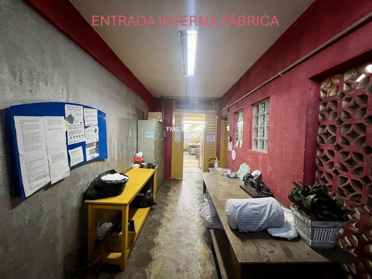 Casa, 3 quartos, 600 m² - Foto 8