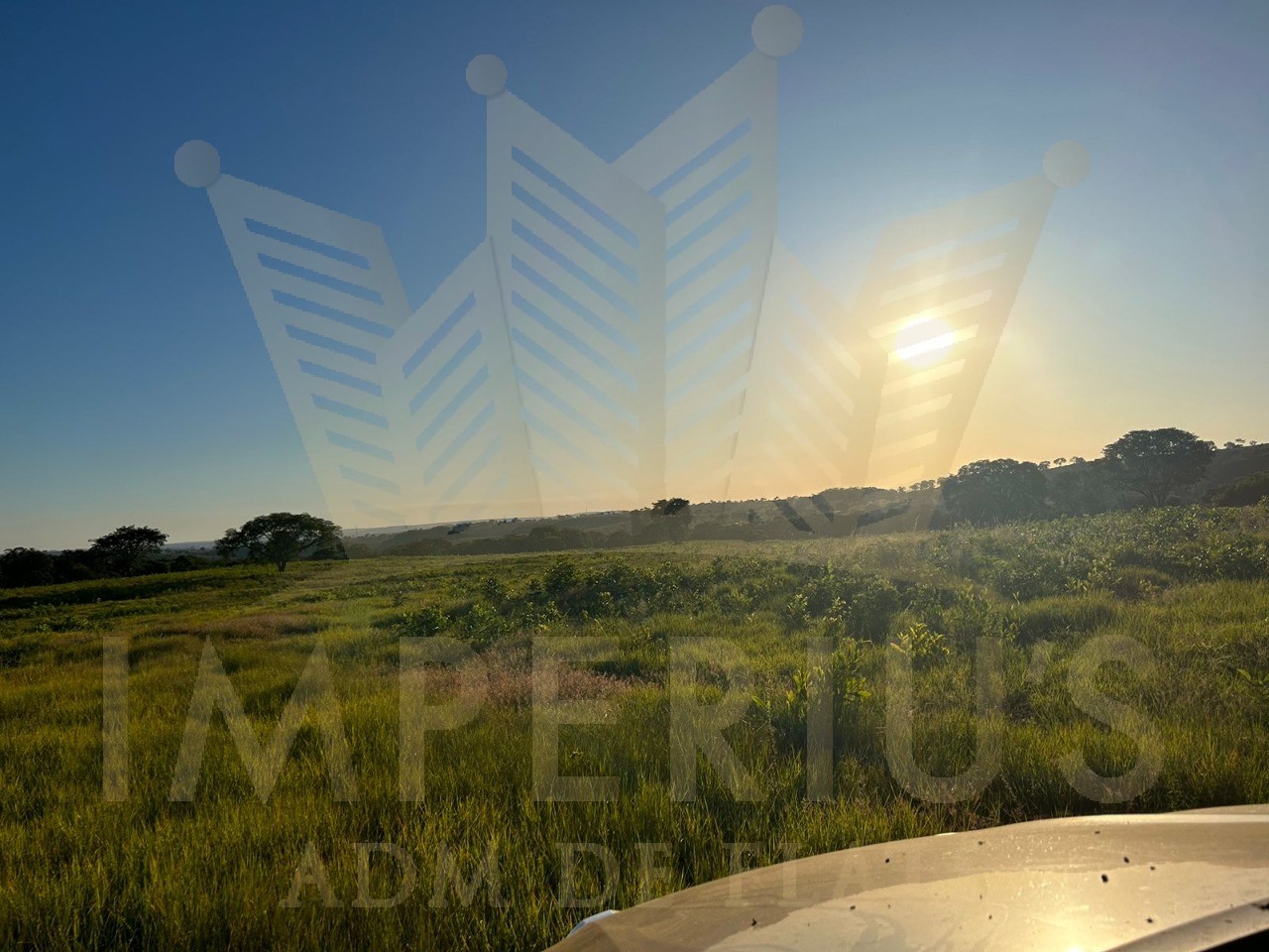 Fazenda- serranopolis