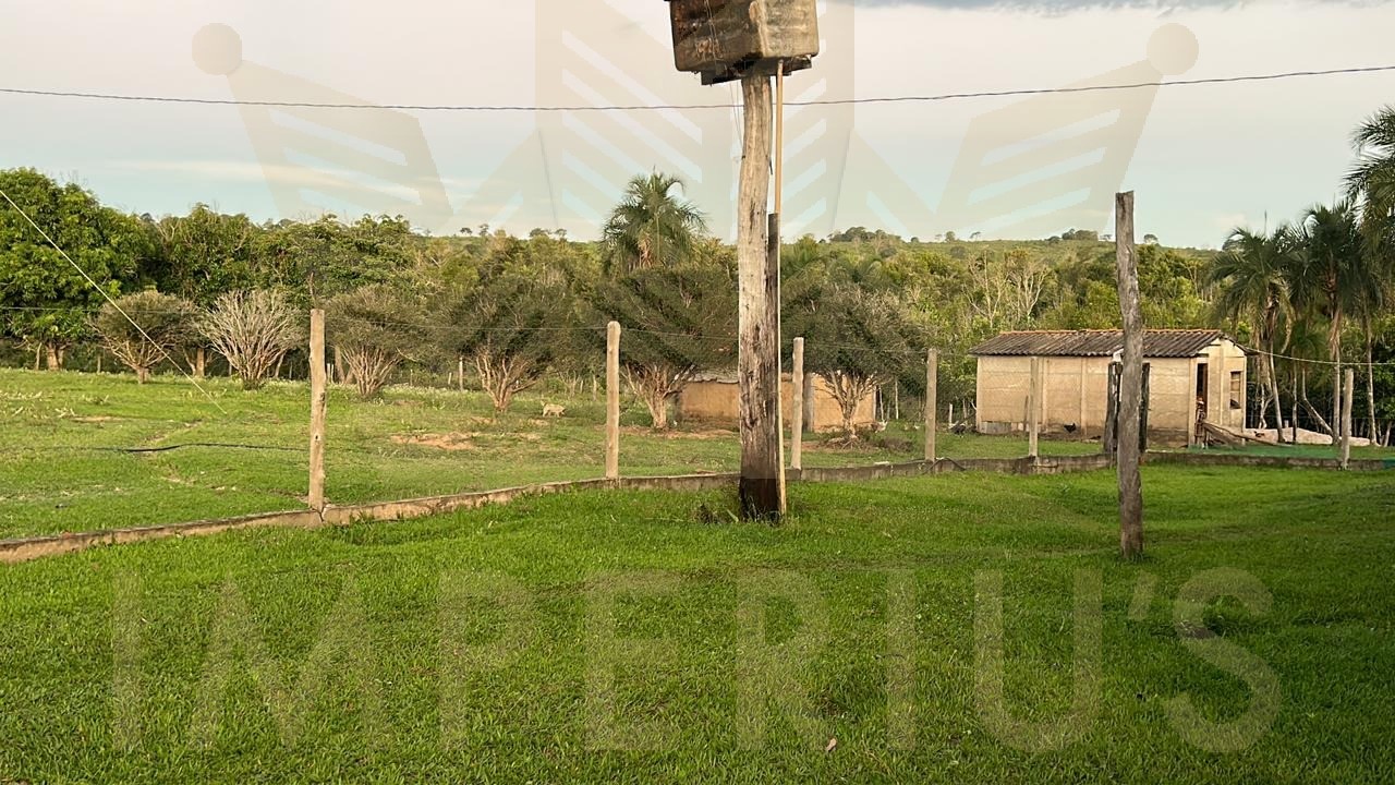 Fazenda- serranopolis