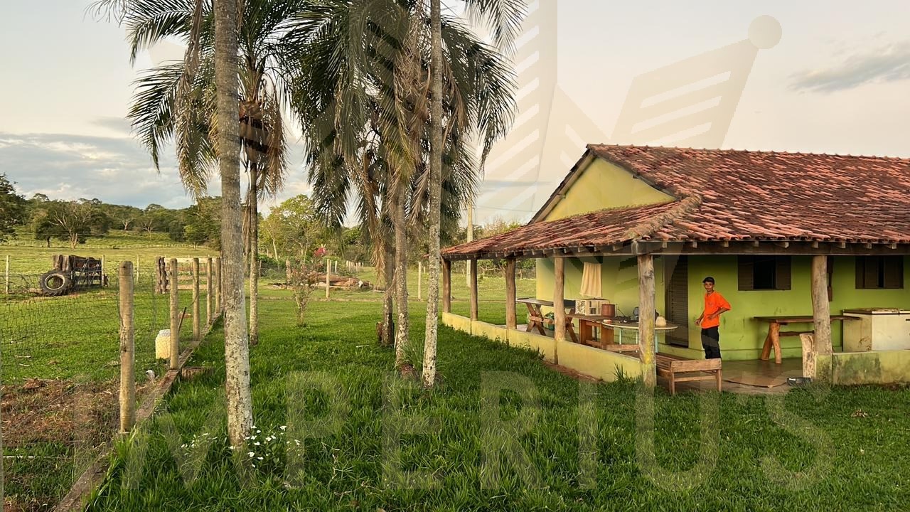 Fazenda- serranopolis