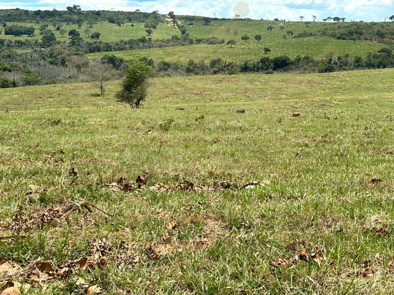 Fazenda- serranopolis