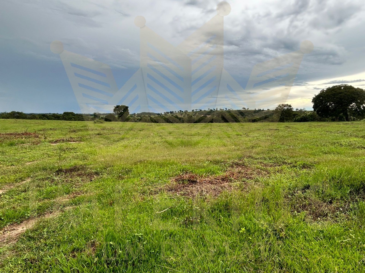 Fazenda- serranopolis