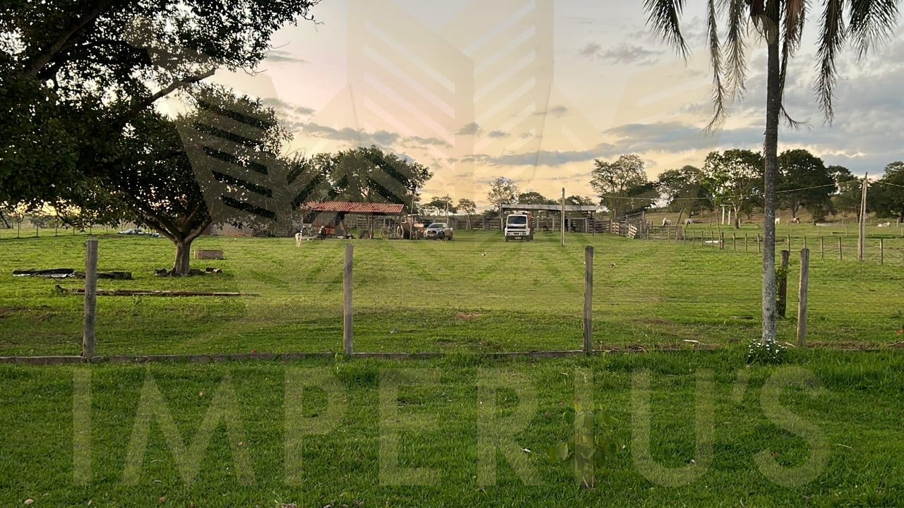 Fazenda- serranopolis