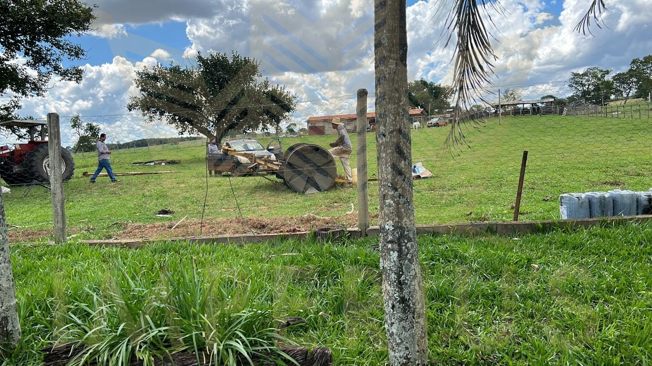 Fazenda- serranopolis