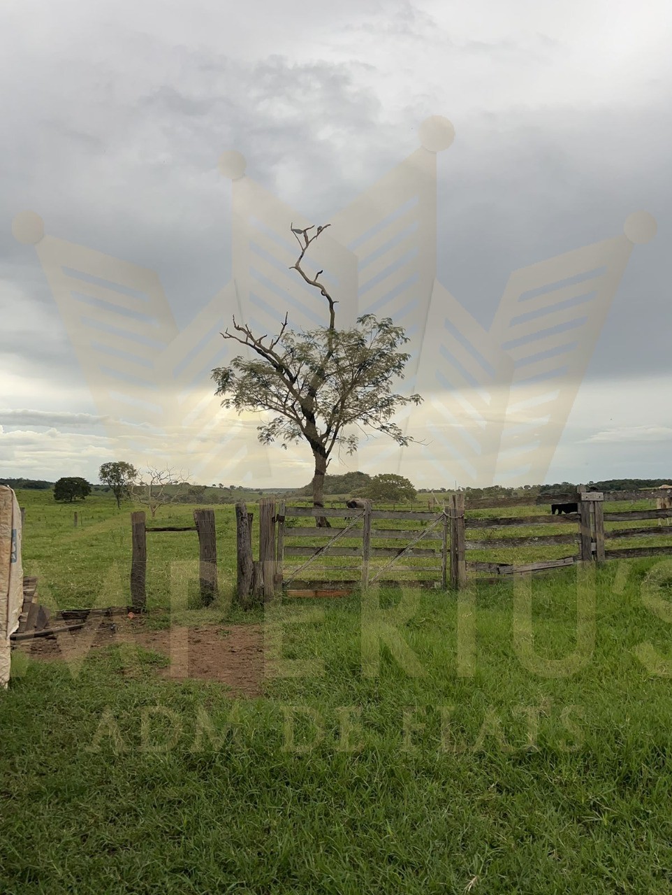 Fazenda- serranopolis