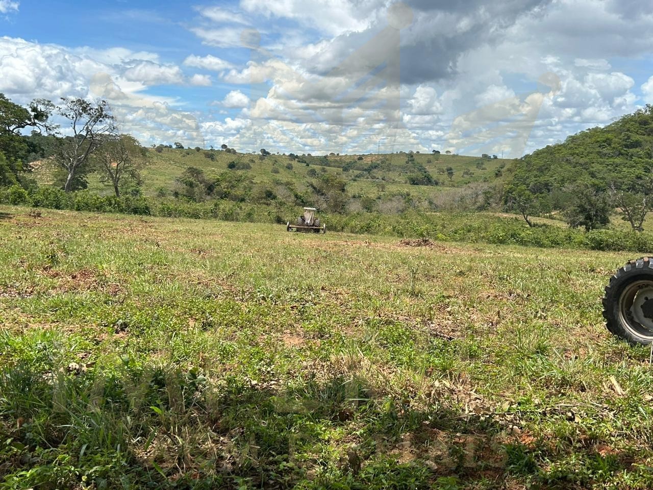 Fazenda- serranopolis