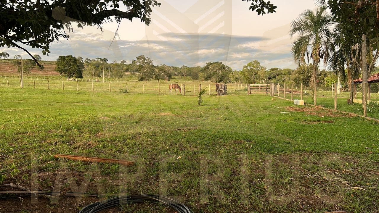 Fazenda- serranopolis