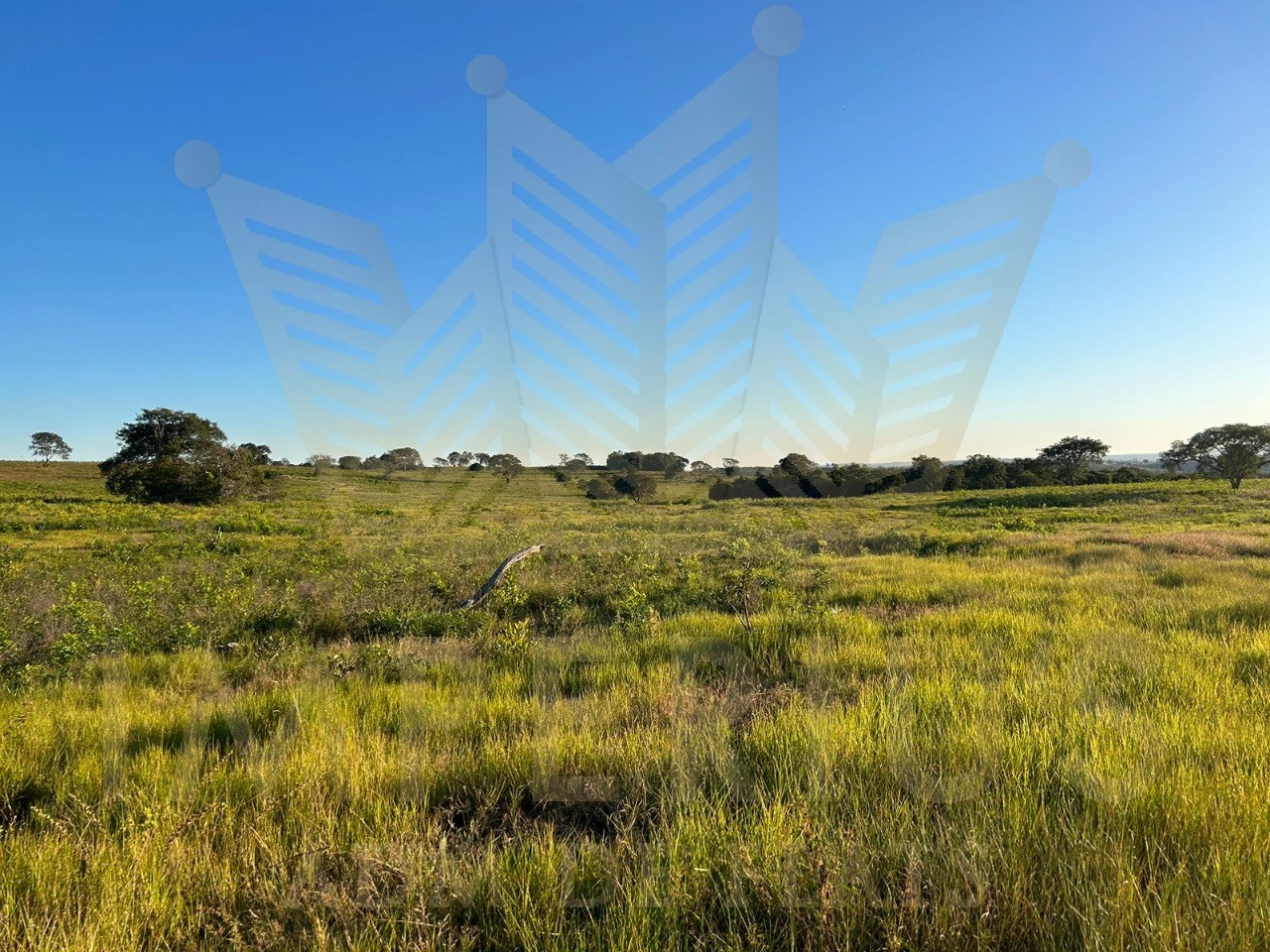 Fazenda- serranopolis
