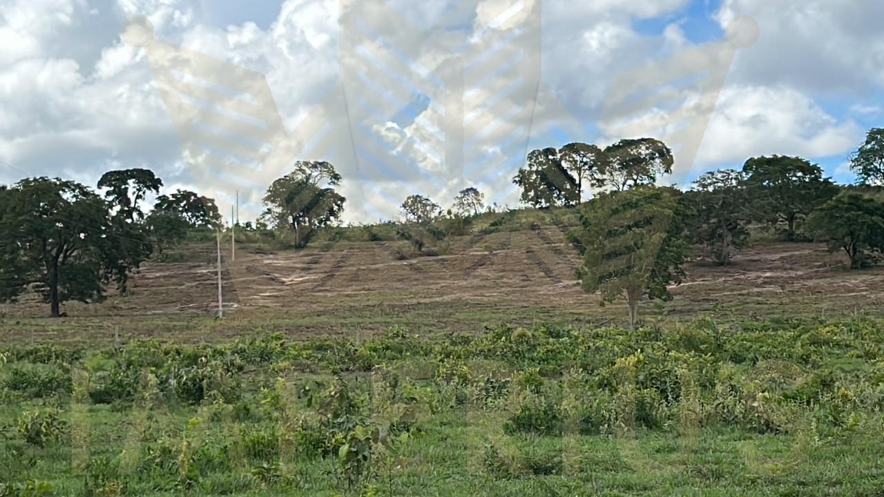 Fazenda- serranopolis