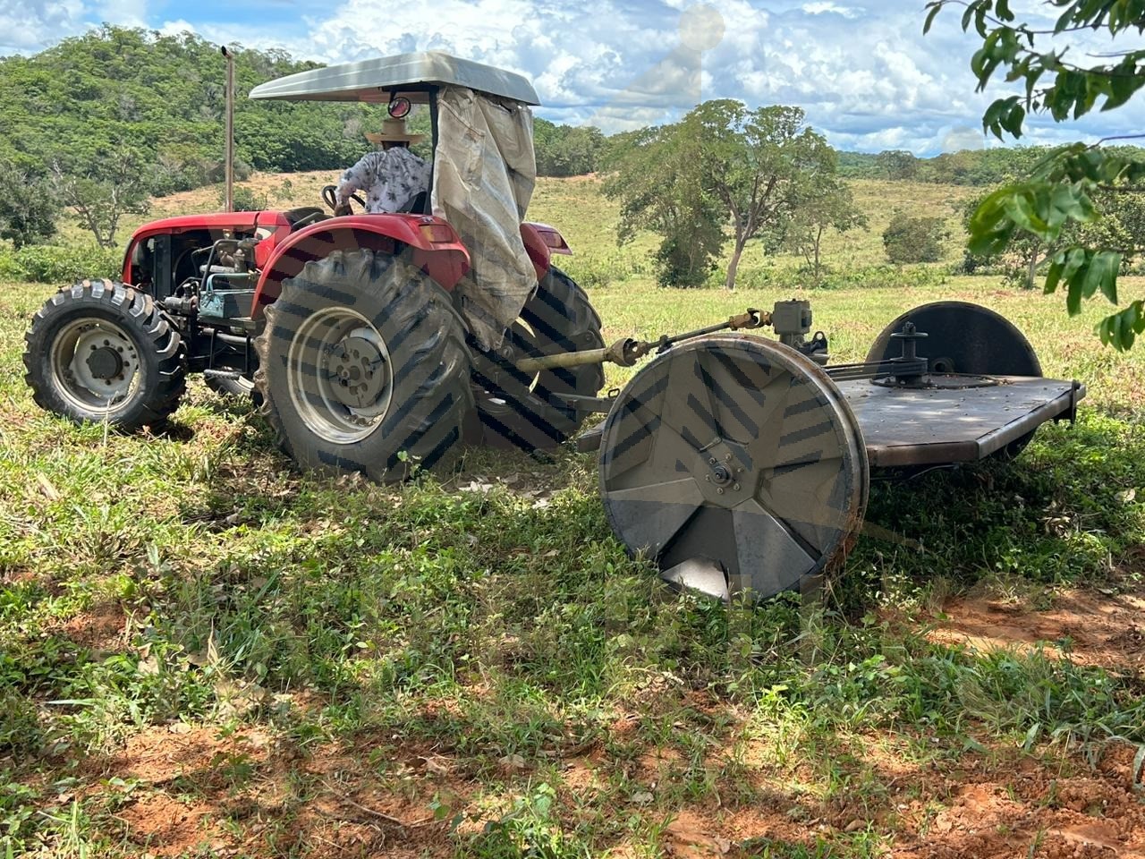 Fazenda- serranopolis